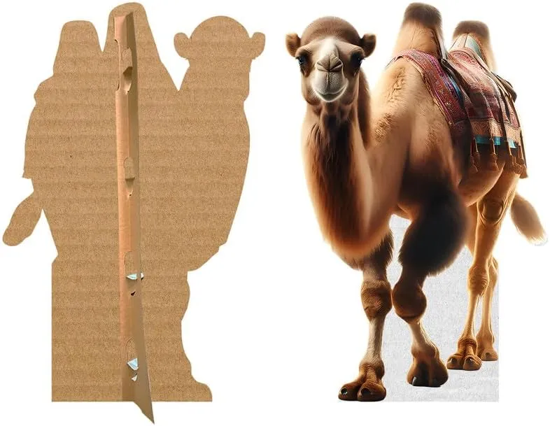 Camel - Life Size Cardboard Cutout Standup People with Support Standee | Animals -
