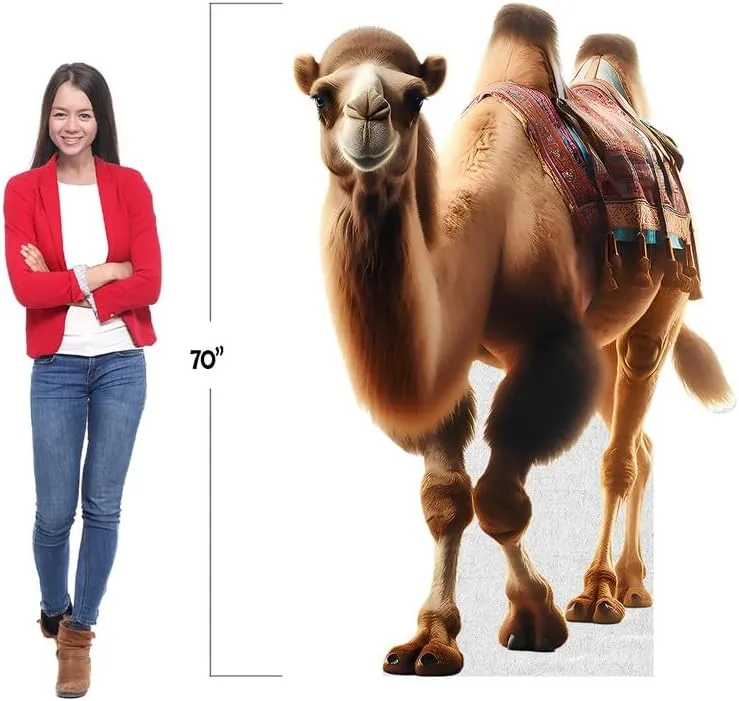 Camel - Life Size Cardboard Cutout Standup People with Support Standee | Animals -