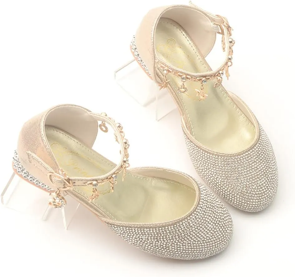 Girl's Glitter Ballerina Mary Jane Low Heel Wedding Bridesmaids Party School Princess Flower Dress Shoes for Kid Toddler
