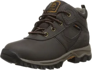 Timberland Unisex-Child Mt. Maddsen Waterproof Mid Leather Hiking Boot