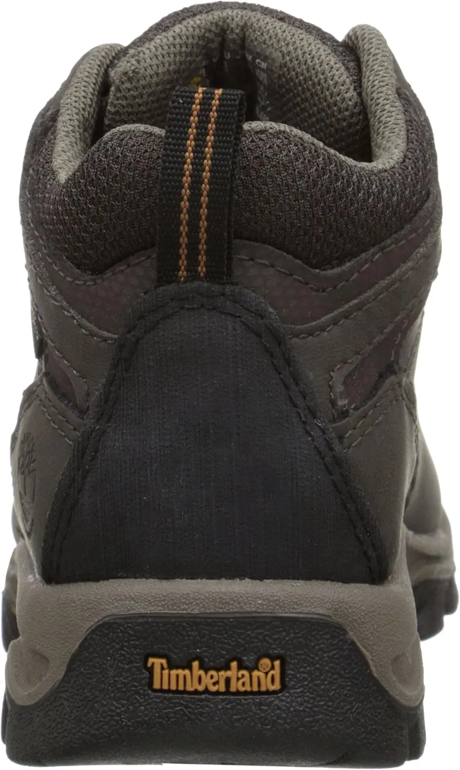 Timberland Unisex-Child Mt. Maddsen Waterproof Mid Leather Hiking Boot