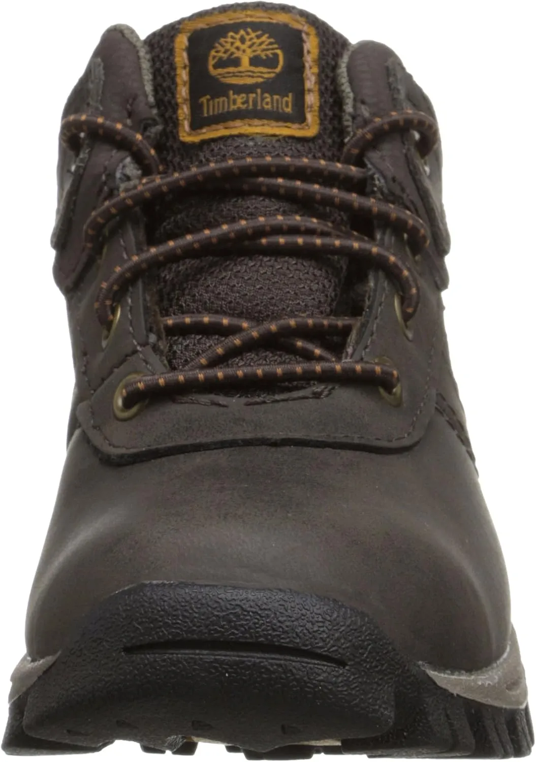 Timberland Unisex-Child Mt. Maddsen Waterproof Mid Leather Hiking Boot