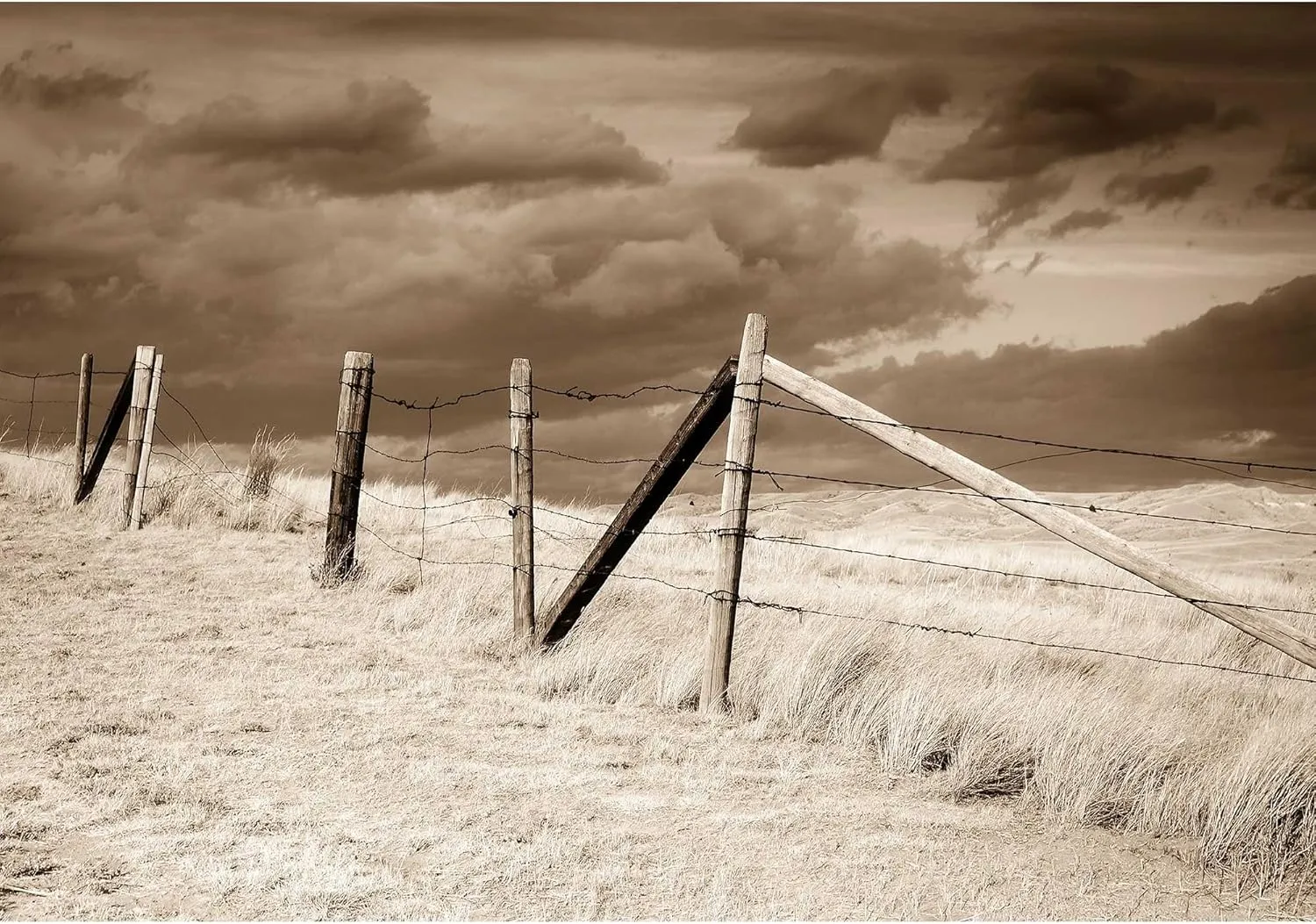 wall26 - Dramatic Sky on Rural Grasslands, Colorado, United States, Sepia Version - Removable Wall Mural | Self-Adhesive Large Wallpaper - 66x96 inches
